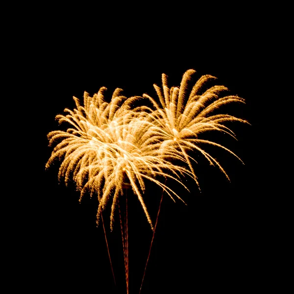 Farbenfrohes Feuerwerk über dunklem Himmel — Stockfoto