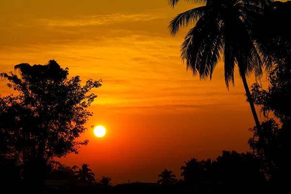 Silhouet van de bomen op de achtergrond prachtige zonsopgang — Stockfoto