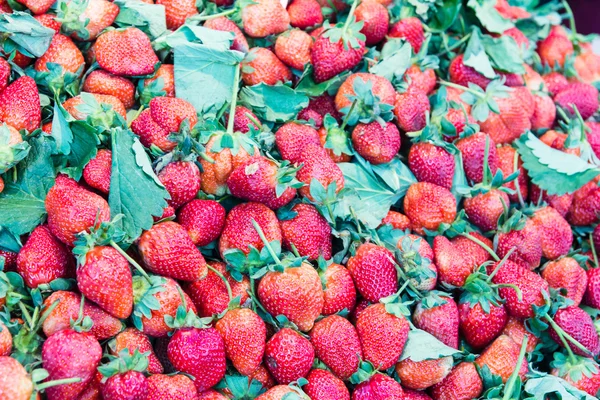 Heap rode aardbeien in markt — Stockfoto