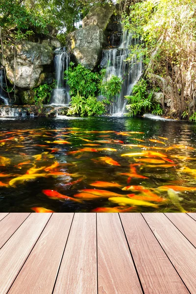 Koi-Fische im Gartenteich mit Wasserfall und Holzsteg — Stockfoto