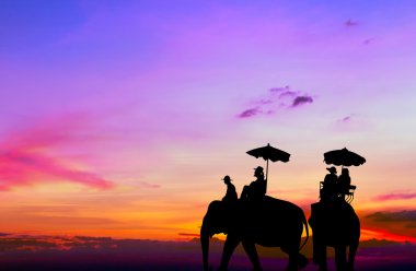 gün batımında turist filli siluet