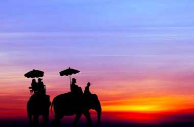 gün batımında turist filli siluet