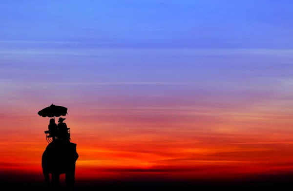Elefante silhueta com turista ao pôr do sol — Fotografia de Stock