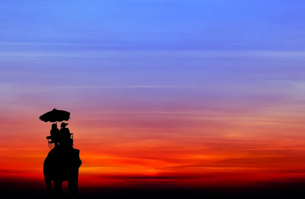 Silhouette éléphant avec touriste au coucher du soleil — Photo