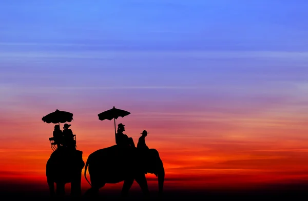 Silhouette elephant with tourist at sunset — Stock Photo, Image