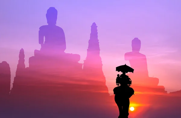 Silhouette elephant with tourist with big buddha background at s — Stock Photo, Image