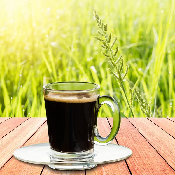 Schwarzer Kaffee auf Naturhintergrund. — Stockfoto