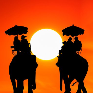 gün batımında turist filli siluet