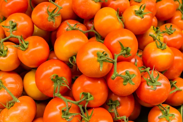 Rote Tomaten Hintergrund. — Stockfoto