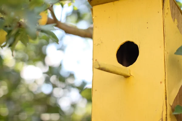 Casita de pájaros —  Fotos de Stock