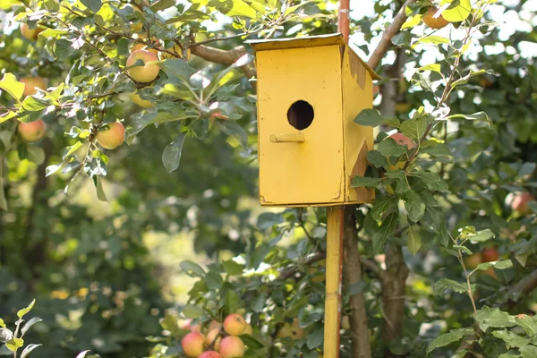 Birdhouse — Stockfoto