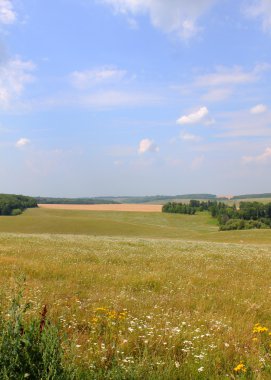 Alan ve güneşli bir havada Ukrayna