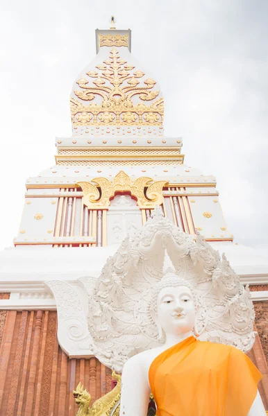 Chedi Prathat Panom com céu nublado no templo público da Tailândia — Fotografia de Stock