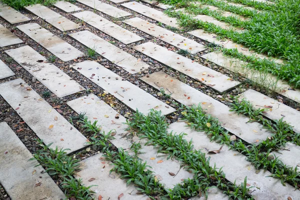 Outdoor cement brick floor in garden — Stock Photo, Image
