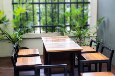 Yeşil santralli bir kafe, stok fotoğrafı.