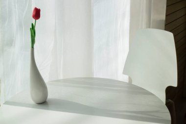 Pencereden parlak ışık saçan vazo, stok fotoğrafı.