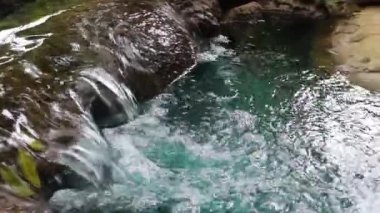 Akan suyla tropik yeşil bahçe, stok görüntüler