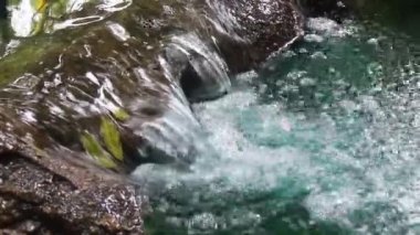 Akan suyla tropik yeşil bahçe, stok görüntüler