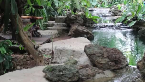 Tropická Zelená Zahrada Tekoucí Vodou Stock Záběry — Stock video