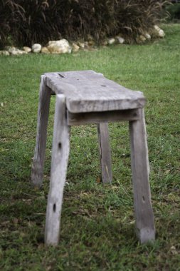 Sazlıkların rahatlatıcı koltuğu çimen çiçeği, stok fotoğrafı.