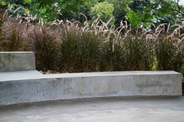 Sazlıkların rahatlatıcı koltuğu çimen çiçeği, stok fotoğrafı.