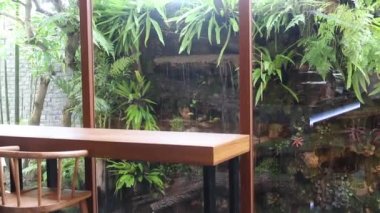 Tropikal bahçede su buharı testi, stok görüntüleri.