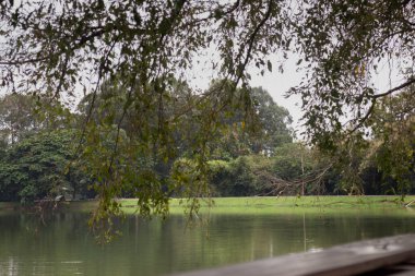 Göl manzarası doğada dinlenme, stok fotoğrafı