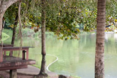 Göl manzarası doğada dinlenme, stok fotoğrafı