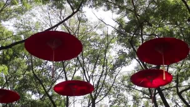 Papír Kézzel Készített Esernyő Díszített Helyi Piacon Stock Footage — Stock videók