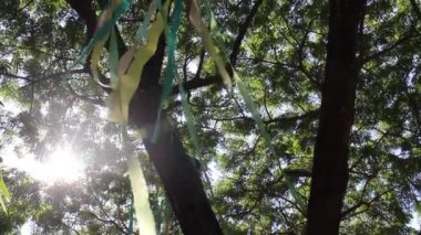 Yeşil açık hava piyasa dekorasyonu, borsa görüntüleri