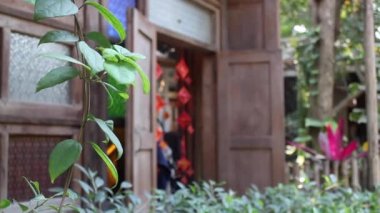 Yeşil açık hava piyasa dekorasyonu, borsa görüntüleri