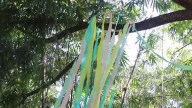 Yeşil açık hava piyasa dekorasyonu, borsa görüntüleri