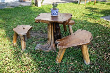 Güzel yeşil bahçe, asgari stil, stok fotoğrafı.