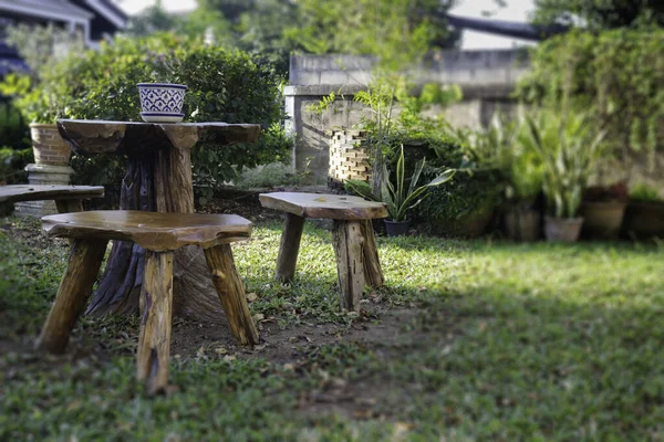 Güzel yeşil bahçe, asgari stil, stok fotoğrafı.