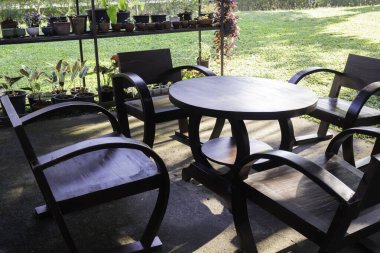 Güzel yeşil bahçe, asgari stil, stok fotoğrafı.