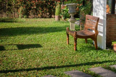 Güzel yeşil bahçe, asgari stil, stok fotoğrafı.
