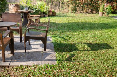 Güzel yeşil bahçe, asgari stil, stok fotoğrafı.