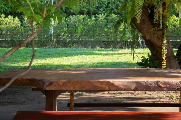 Schöne Sommer Grünen Garten Minimalen Stil Archivbild — Stockfoto