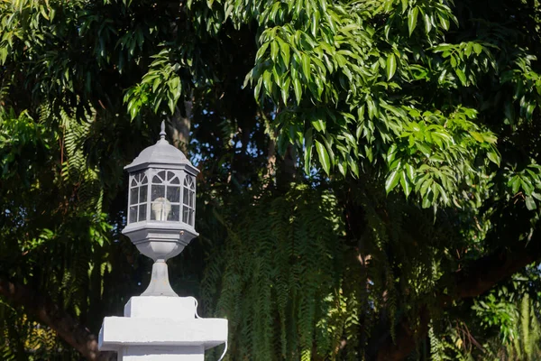 Schöne Sommer Grünen Garten Minimalen Stil Archivbild — Stockfoto