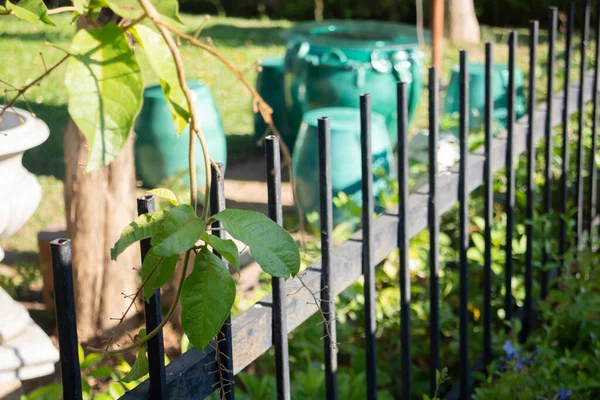 美しい夏の緑の庭最小限のスタイル ストックフォト — ストック写真