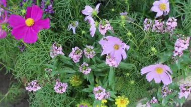 Yeşil açık hava piyasa dekorasyonu, borsa görüntüleri