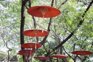 Yerel el yapımı şemsiye, stok fotoğrafı.