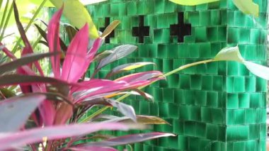 Kafe ve restoranda yeşil saksılar, stok görüntüler.