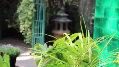 Kafe ve restoranın rahatlama ortamı, stok görüntüleri