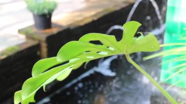 Kafe ve restoranın rahatlama ortamı, stok görüntüleri