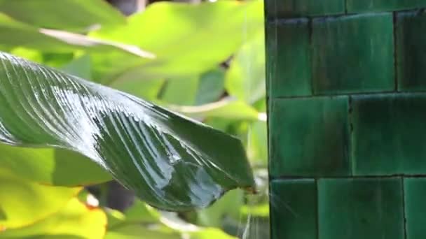 Ambiente Relaxamento Café Restaurante Imagens Estoque — Vídeo de Stock