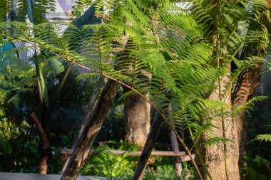 Rahatlama yeşil tatil köyü kafe ve restoran, stok fotoğrafı.