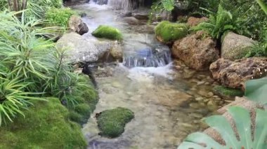 Kahve dükkanı, soğuk çevre, stok görüntüler.