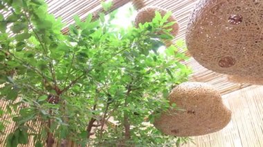 Creative bamboo interior construction design resort, stock footage