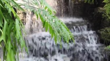 Waterfall flowing to creek in tropical garden, stock footage